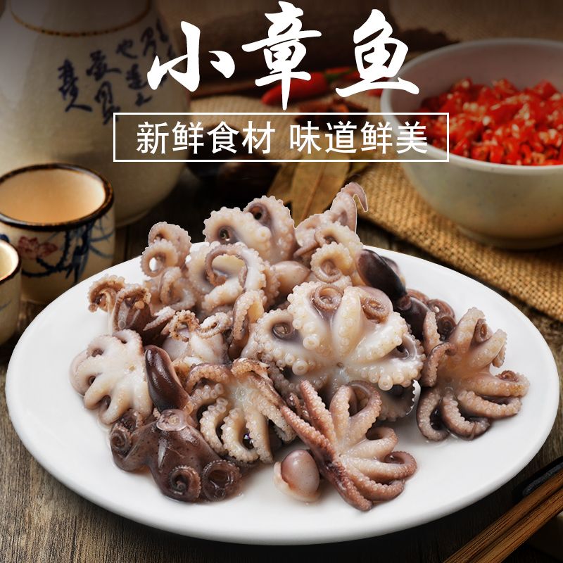 免处理火锅【小章鱼】鲜八爪鱼 烧烤干锅麻辣烫 (10只左右) 300g